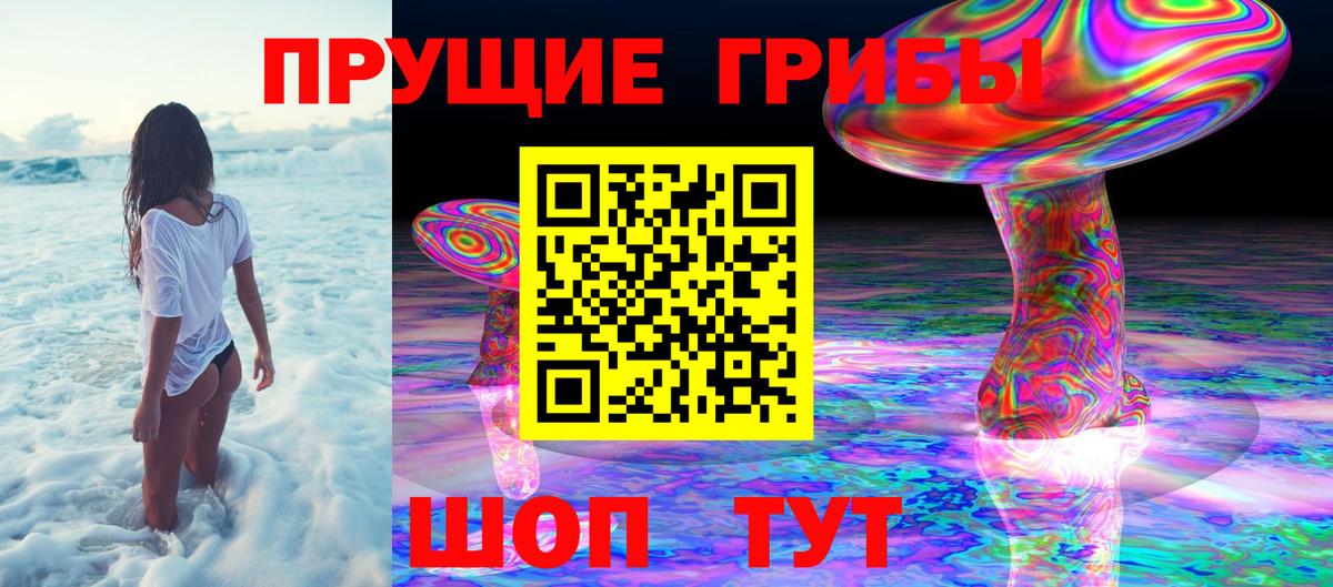 Ртищево  Галлюциногенные грибы прущие грибы  Псилоцибиновые грибы мухоморы  Вход с VPN 